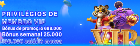 Suporte Login